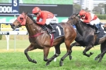 The Everest favourite Redzel scratched from The Shorts