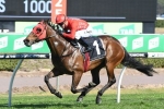 Redzel Leads From Start To Finish In Concorde Stakes