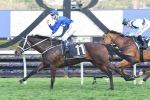Winx is short priced favourite in 2017 Turnbull Stakes betting