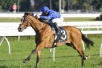 Hartnell odds on for step up to 2000m in Hill Stakes