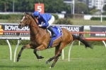 No Metropolitan for Hartnell, Turnbull Stakes next