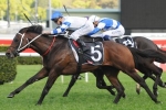 Kermadec worthy Cox Plate favourite after George Main Stakes win