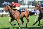 First Seal Forward Enough For Light Fingers Stakes