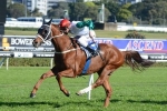 Waller secures Douglas White for Junoob in Caulfield Cup