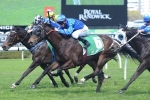 Godolphin Happy With ATC Cup Duo