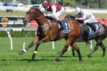 Guelph stamps herself as the top filly in the Tea Rose Stakes