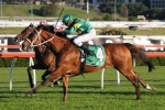 Moriarty A Knockout Chance In Chipping Norton Stakes