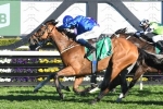 Hartnell to take on stablemate Alizee in 2019 Memsie Stakes