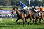 Hugh Bowman selects Winx as his 2015 Cox Plate mount