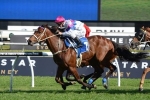 Moonee Valley No Issue For Famous Seamus In Manikato Stakes