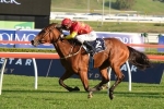 First Seal Back In Stable Ahead Of Autumn Prep