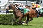 Royal Standing to roll forward from wide Victoria Derby barrier