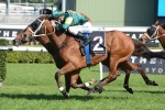 Moriarty Upsets Rising Romance In Craven Plate