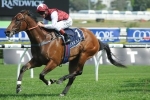 Guelph in line for Cox Plate start