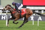 Zoustar Flying Ahead Of Coolmore Stud Stakes