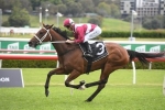 Neds Stakes winner Arcadia Queen set to rule in Cox Plate