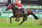 Redzel remains in the red in 2018 Black Caviar Lightning betting