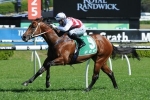 Team Hawkes Duo Included In McCarten Stakes Field