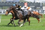Better Than Ready to be tested at Flemington
