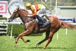Quackerjack draws wide barrier again in 2019 Villiers Stakes