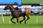 Happy Clapper Likely to Resume in Tramway Stakes