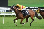 Josh Parr new rider for I’m Imposing in Villiers Stakes