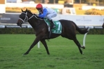 Coup Ay Tee Waller’s Best Chance In Winter Stakes