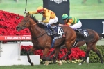 No Queen Elizabeth Stakes For Akeed Mofeed