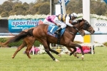 Renew To Continue On Adelaide Cup Path