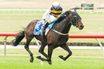Ibicenco is Queensland Cup Topweight