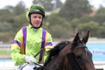 Ballarat Cup 2014: Drop Back In Trip No Issue For Waltzing To Win
