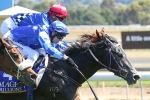 Murt The Flirt On Top Of Wyong Magic Millions Stakes Field