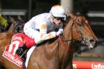 Loving Gaby beats the older sprinters in 2019 Manikato Stakes