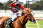 Akzar tuned up for Doomben Cup