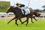 Alpha Miss Set For Flight Stakes
