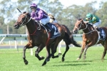 Waller Dominates Expressway Stakes Field