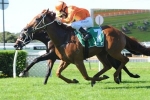 Terravista on way to Doncaster Mile after win in Liverpool City Cup