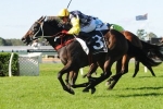 Thump To Contest William Reid Stakes