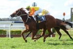 Ramornie Handicap Likely for Decision Time