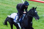 Dandino To Take Place In Caulfield Cup Field