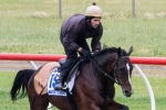 Mount Athos To Be Trained By Marco Botti