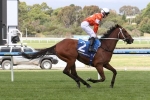 Waller pair on trial for Melbourne Cup in Moonee Valley Gold Cup