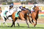 Geelong Cup winner Vengeur Masque one step closer to a Melbourne Cup start