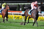 Queensland Could Be Black Caviar’s Toughest Opposition Yet