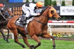 Woorim to take on stable mate in BTC Cup