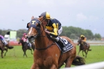 Gold Trail Could Lead To Doomben This Saturday