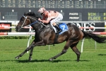 Black Caviar to race in the spring after Royal Ascot