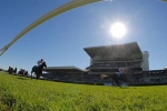 Racing To Continue During Randwick Redevelopment