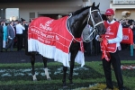 Rangirangdoo Ruled Out Of Spring Campaign