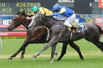 Hinchinbrook Out Of Jubilee, Retired To Stud